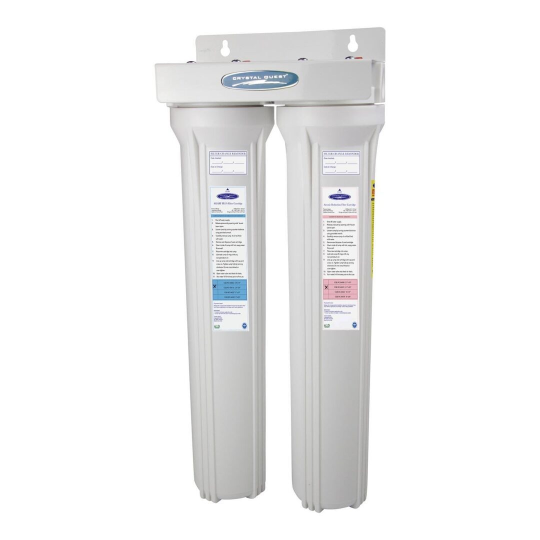 Dual cartridge whole-house water filter