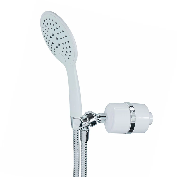 White handheld shower head with inline water filter
